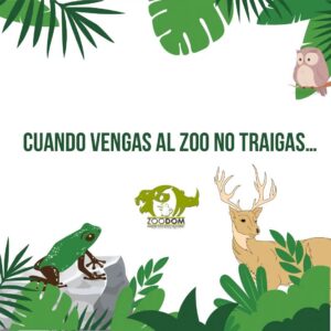 Cosas que no debes traer al venir al Zoológico Dominicano